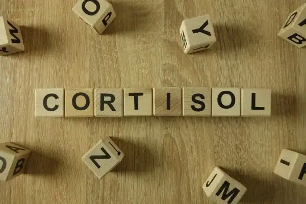 The Hidden Connection: How Stress Shapes Your Fitness and Body Composition 2 Image saying "Cortisol" and how stress Harwich impacts your wellbeing and bodies shape
